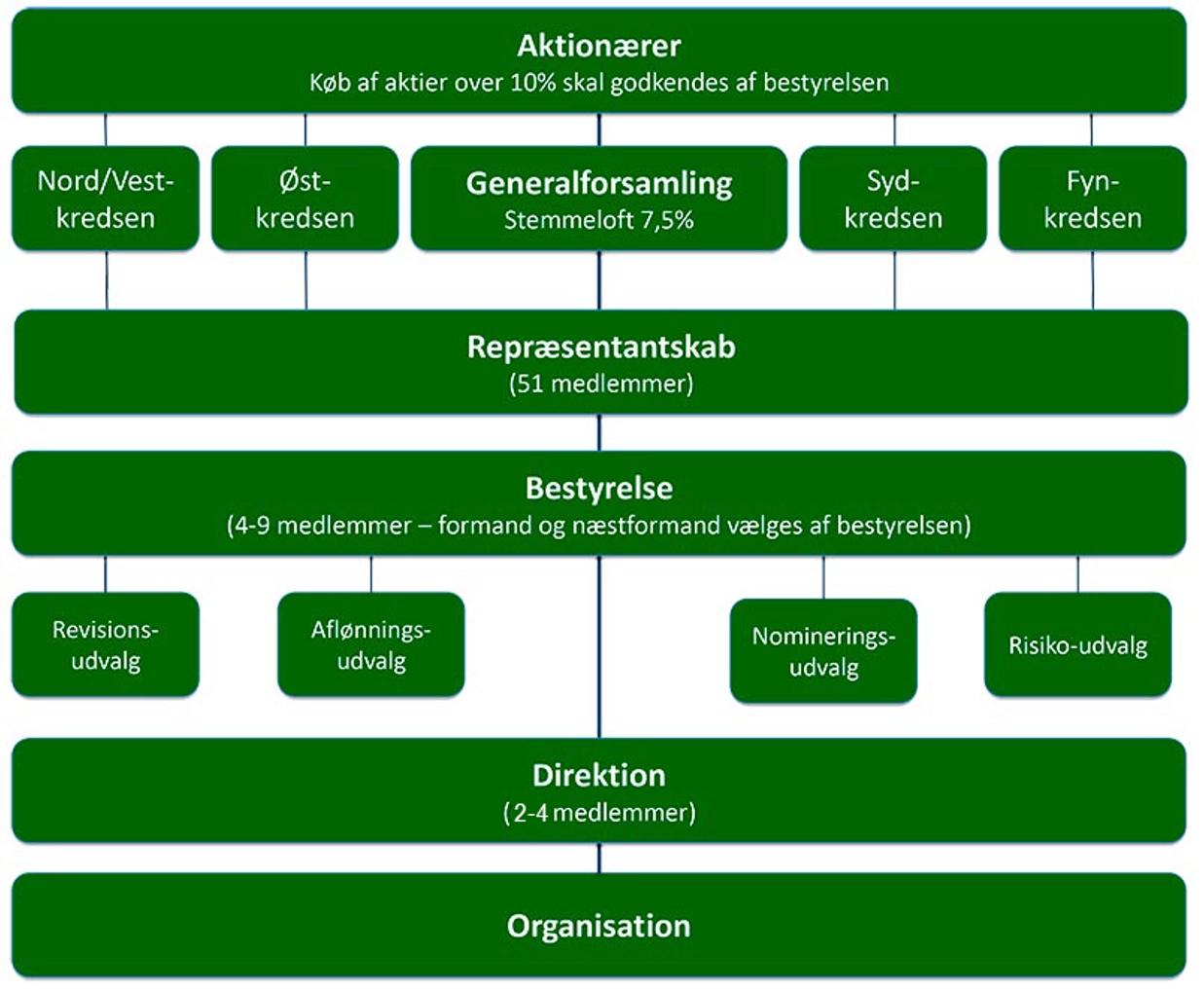 illustration af Governancestruktur for Sparekassen Sjælland-Fyn A/S